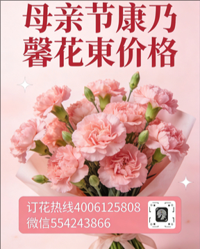 河源源城区花店母亲节康乃馨花束
